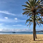Petit Nid Au Lavandou
