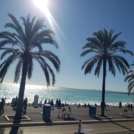 Petit Nid Au Lavandou Ле-Лаванду