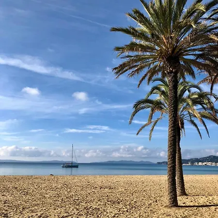 Petit Nid Au Lavandou