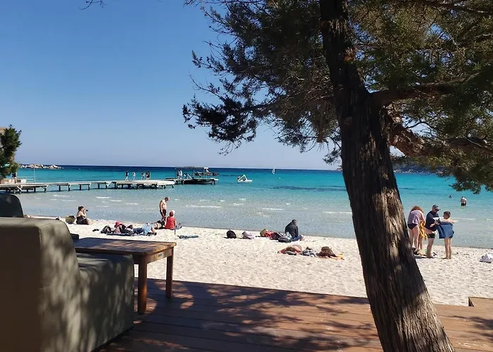 Petit Nid Au Lavandou