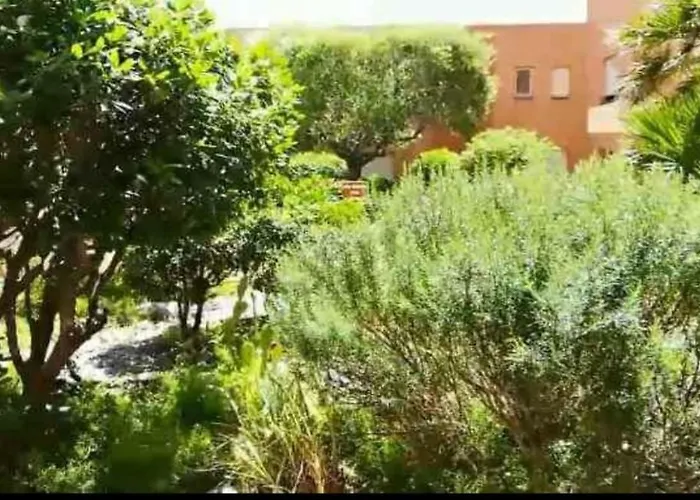 Apartment Petit Nid Au Lavandou Le Lavandou