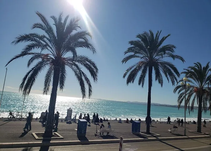 Petit Nid Au Lavandou Le Lavandou