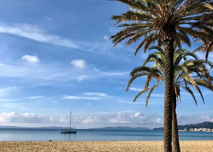 Petit Nid Au Lavandou